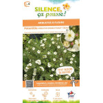 Potentille arbustive DOUBLE PUNCH CREAM 50cm de Plantes Silence ça pousse dans Arbustes caducs en livraison