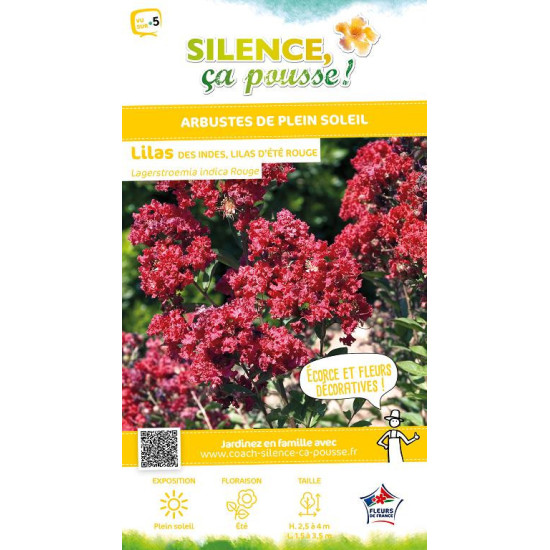 Lilas des Indes rouge 80cm Silence ca pousse de Plantes Silence ça pousse dans Plantes à petits fruits (kiwi, myrtilles, gros...
