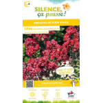 Lilas des Indes rouge 80cm Silence ca pousse de Plantes Silence ça pousse dans Plantes à petits fruits (kiwi, myrtilles, gros...