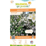 PHILADELPHUS CORONARIUS C4,5 TF/BU de Plantes Silence ça pousse dans Arbustes caducs en livraison
