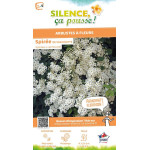 Spiree de Van Houtte 100cm Silence ca pousse de Plantes Silence ça pousse dans Arbustes caducs en livraison