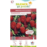 Framboisier MARASTAR 100cm Silence ca pousse de Plantes Silence ça pousse dans Plantes à petits fruits (kiwi, myrtilles, gros...