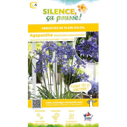 AGAPANTHUS EVER SAPPHIRE R C4,5 TF/BU de Plantes Silence ça pousse dans Plantes à petits fruits (kiwi, myrtilles, groseilles,...
