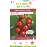 Groseillier a grappes Jonkheer van Tets 100cm de Plantes Silence ça pousse dans Plantes à petits fruits (kiwi, myrtilles, gro...