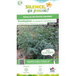 Eucalyptus de Gunn FRANCE BLEU, gommier 100cm de Plantes Silence ça pousse dans Arbres d'ornement en livraison