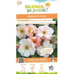 Potentille arbustive DOUBLE PUNCH PASTEL 50cm de Plantes Silence ça pousse dans Arbustes caducs en livraison