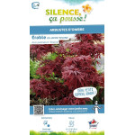 Erable du Japon Shaina 80cm Silence ca pousse de Plantes Silence ça pousse dans Plantes à petits fruits (kiwi, myrtilles, gro...