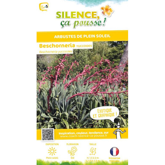 Beschorneria yuccoides 80cm Silence ca pousse de Plantes Silence ça pousse dans Plantes à petits fruits (kiwi, myrtilles, gro...