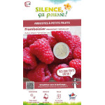 Framboisier Versailles 80cm Silence ca pousse de Plantes Silence ça pousse dans Plantes à petits fruits (kiwi, myrtilles, gro...