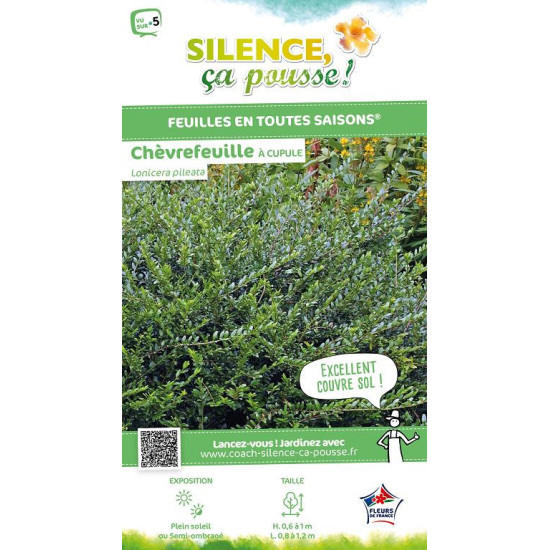 Chevrefeuille a cupule 50cm Silence ca pousse de Plantes Silence ça pousse dans Arbustes persistants en livraison