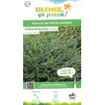 Chevrefeuille a cupule 50cm Silence ca pousse de Plantes Silence ça pousse dans Arbustes persistants en livraison