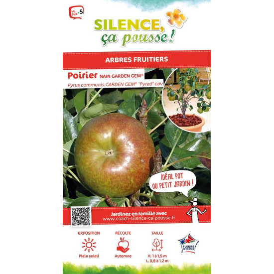 Poirier nain GARDEN GEM 100cm Silence ca pousse de Plantes Silence ça pousse dans ZZ hortival