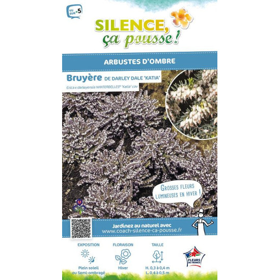 ERICA D,KATIA cov C2 de Plantes Silence ça pousse dans Plantes à petits fruits (kiwi, myrtilles, groseilles, cassis, frambois...