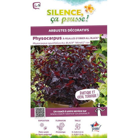 Physocarpus a feuilles dobier ALL BLACK 100cm de Plantes Silence ça pousse dans Arbustes caducs en livraison
