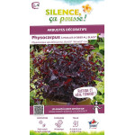 Physocarpus a feuilles dobier ALL BLACK 100cm de Plantes Silence ça pousse dans Arbustes caducs en livraison