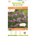 Lilas hybride a petites feuilles Red Pixie 100 de Plantes Silence ça pousse dans Arbustes caducs en livraison