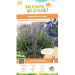 Sauge Hybride a petites feuilles Blue Note 65cm de Plantes Silence ça pousse dans Plantes à petits fruits (kiwi, myrtilles, g...