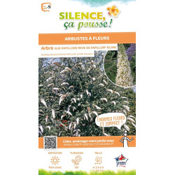 Arbre aux papillons REVE DE PAPILLON Blanc 80cm de Plantes Silence ça pousse dans Arbustes caducs en livraison