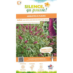 Arbre aux papillons REVE DE PAPILLON Rouge 80cm de Plantes Silence ça pousse dans Arbustes caducs en livraison