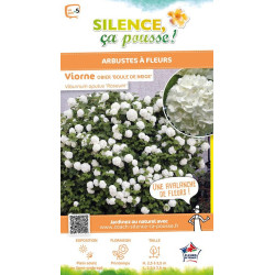 Viorne obier Boule de Neige, Rose de Gueldre 65 de Plantes Silence ça pousse dans Arbustes caducs en livraison