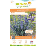 Barbe bleue Heavenly Blue 80cm Silence ca pousse de Plantes Silence ça pousse dans Arbustes caducs en livraison