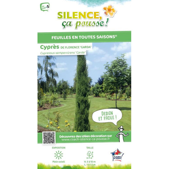 Cypres de Florence Garda 100cm Silence ca pousse de Plantes Silence ça pousse dans Conifères d'ornement en livraison