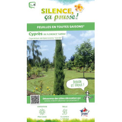Cypres de Florence Garda 100cm Silence ca pousse de Plantes Silence ça pousse dans Conifères d'ornement en livraison