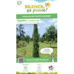 Cypres de Florence Garda 100cm Silence ca pousse de Plantes Silence ça pousse dans Conifères d'ornement en livraison
