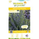 Romarin officinal Erectus 50cm Silence ca pousse de Plantes Silence ça pousse dans Arbustes persistants en livraison