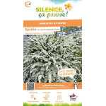 Spiree du Japon Snowmound 80cm Silence ca pousse de Plantes Silence ça pousse dans Arbustes caducs en livraison