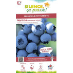 Myrtille des jardins Patriot 80cm de Plantes Silence ça pousse dans Plantes à petits fruits (kiwi, myrtilles, groseilles, cas...