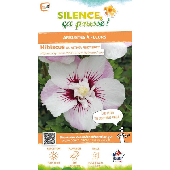 HIBISCUS SY,PINKY SPOT C4,5 TF/BU de Plantes Silence ça pousse dans Arbustes caducs en livraison