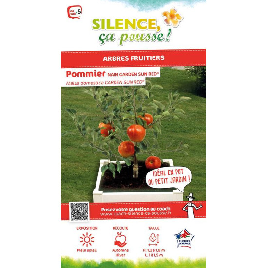 Pommier nain GARDEN SUN RED 100cm de Plantes Silence ça pousse dans ZZ hortival