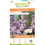 Lilas commun ROSE DE MOSCOU 140cm de Plantes Silence ça pousse dans Arbustes caducs en livraison