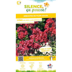 Lilas des Indes rouge 80cm Silence ca pousse de Plantes Silence ça pousse dans Plantes à petits fruits (kiwi, myrtilles, gros...
