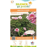 Pivoine arbustive a fleur rose 65cm de Plantes Silence ça pousse dans Arbustes caducs en livraison