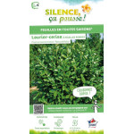 Laurier-cerise a feuilles rondes 80cm de Plantes Silence ça pousse dans Plantes à petits fruits (kiwi, myrtilles, groseilles,...
