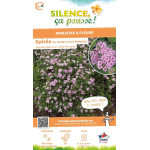 Spiree du Japon Little Princess 80cm de Plantes Silence ça pousse dans Arbustes caducs en livraison