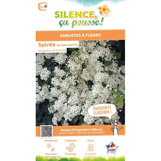 SPIRAEA VANHOUTTEI C4,5 TF/BU de Plantes Silence ça pousse dans Arbustes caducs en livraison