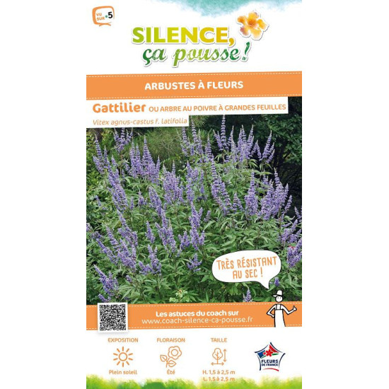 Gattilier grandes feuilles, Arbre au poivre 120 de Plantes Silence ça pousse dans Arbustes caducs en livraison