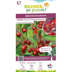 Aronia a feuilles darbousier Brilliant 120cm de Plantes Silence ça pousse dans ZZ hortival