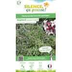 Daphne odorant panache 80cm Silence ca pousse de Plantes Silence ça pousse dans Plantes à petits fruits (kiwi, myrtilles, gro...
