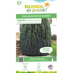 CHAM LAWS ELLWOODII C4,5 de Plantes Silence ça pousse dans Conifères de rocailles en livraison