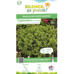 CRYPTOMERIA J,VILMORINIANA C4,5 de Plantes Silence ça pousse dans Conifères de rocailles en livraison