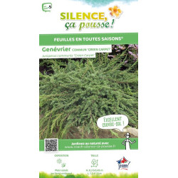 JUNIPERUS COMM,GREEN CARPET C4,5 de Plantes Silence ça pousse dans Conifères de rocailles en livraison