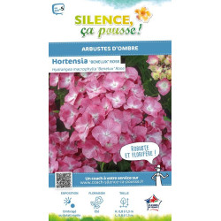 HORTENSIA BENELUX ROSE C10 10BR + de Plantes Silence ça pousse dans Plantes à petits fruits (kiwi, myrtilles, groseilles, cas...