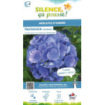 Hortensia Bodensee 50cm Silence ca pousse de Plantes Silence ça pousse dans Plantes à petits fruits (kiwi, myrtilles, groseil...