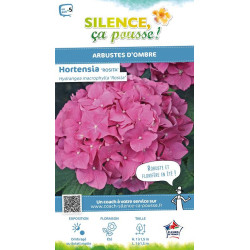 Hortensia Rosita 50cm Silence ca pousse de Plantes Silence ça pousse dans Plantes à petits fruits (kiwi, myrtilles, groseille...