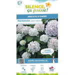 HORTENSIA SOEUR THERESE C10 10BR + de Plantes Silence ça pousse dans Plantes à petits fruits (kiwi, myrtilles, groseilles, ca...