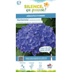 Hortensia Mathilda Gutges 100cm de Plantes Silence ça pousse dans Plantes à petits fruits (kiwi, myrtilles, groseilles, cassi...